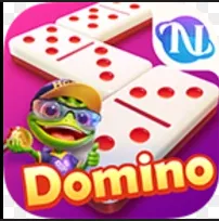 DOMINO Icon